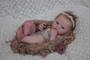 Eloisa vinyl doll kit- full payment + tummy plate