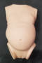  Meadow's Torso- Preorder- deposit only!