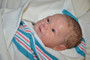 Amelie portrait silicone doll-SOLD OUT