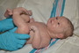 Amelie portrait silicone doll-SOLD OUT