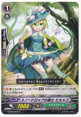 Snowdrop Musketeer, Pirkko C G-BT02/097