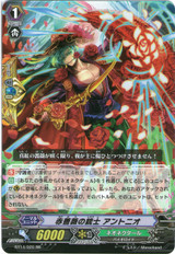 Red Rose Musketeer, Antonio RR BT14/020