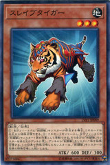 Test Tiger LVP1-JP009 Common