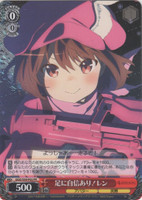 LLENN, There is confidence in the foot GGO/S59-P02 PR