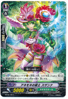 Anemone Musketeer, Susanna C BT16/100