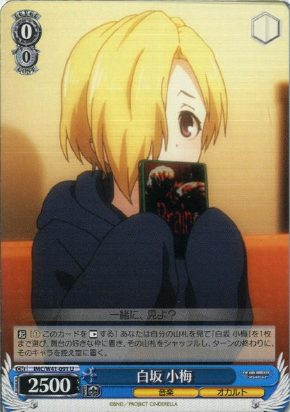 Koume Shirasaka IMC/W41-091