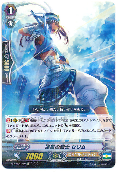 Headwind Knight, Selim R G-BT06/025