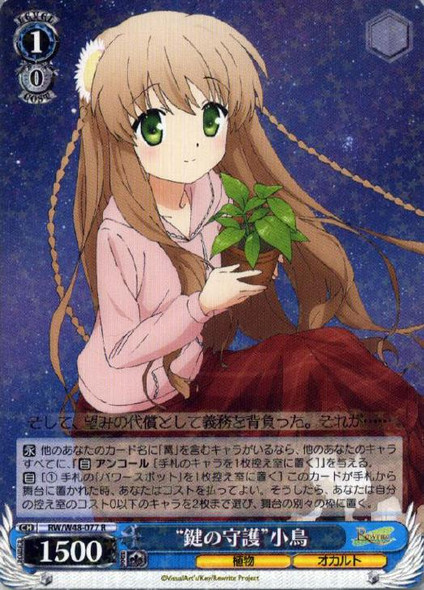 Protection of Key Kotori RW/W48-077 R