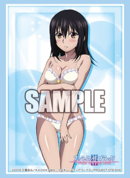 Strike the Blood Sleeve