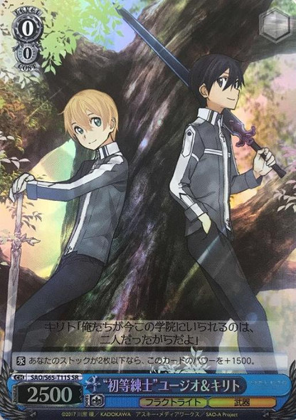 Primary Sword Instructors Eugeo & Kirito SAO/S65-T11S SR