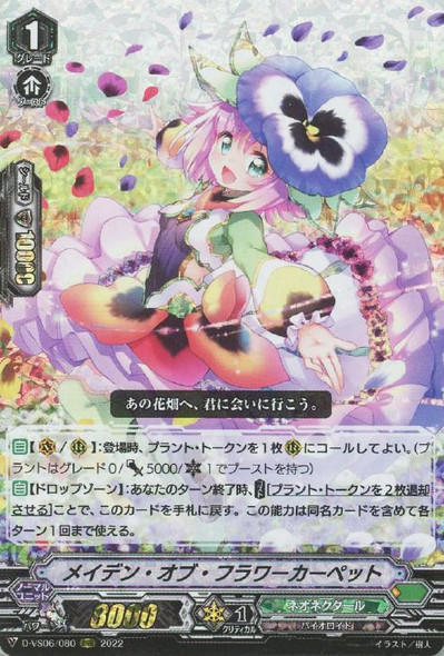 Maiden of Flower Carpet D-VS06/080 RRR