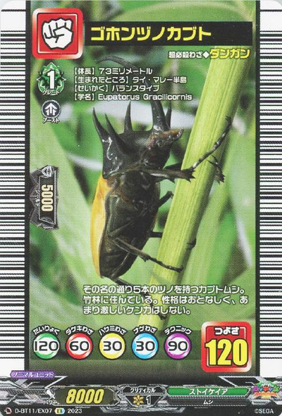 Five-Horned Rhinoceros Beetle D-BT11/EX07 EX