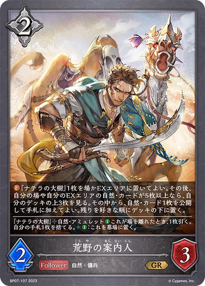 Desert Pathfinder BP07-107 GR