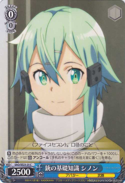 Sinon, Basic Knowledge of Guns SAO/SE23-25