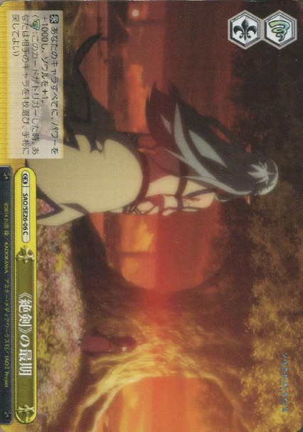 "Zekken"'s Last Moments SAO/SE26-06
