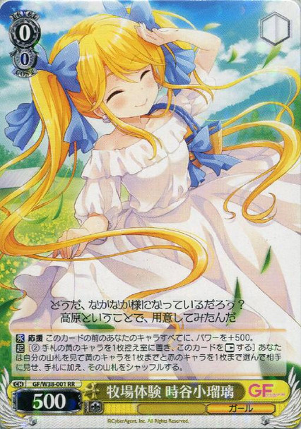 Koruri Tokitani, Farm Experience GF/W38-001