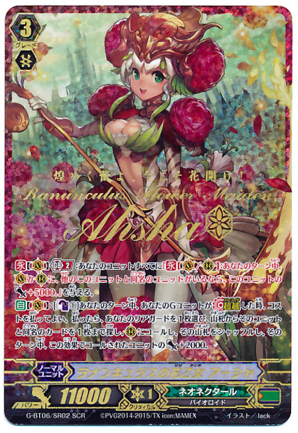 Ranunculus Flower Maiden, Ahsha SCR G-BT06/SR02