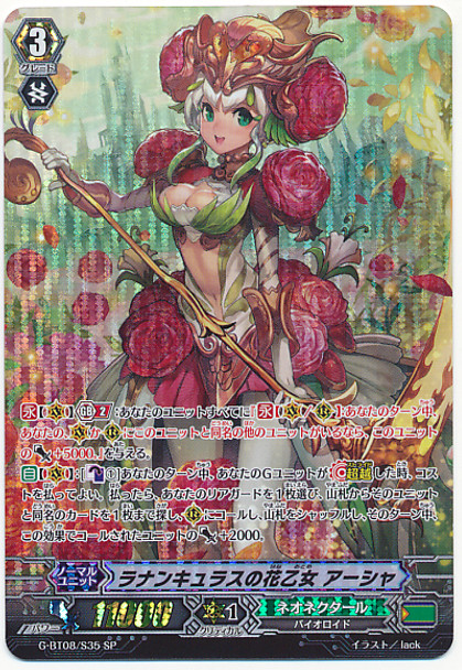 Ranunculus Flower Maiden, Ahsha G-BT08/S35 SP