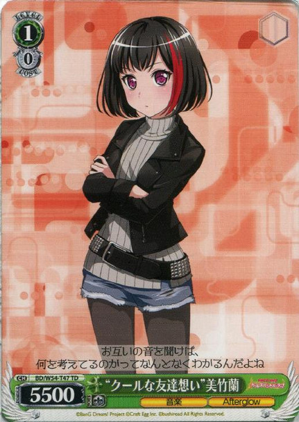 Cool One Thinking of Friends Ran Mitake BD/W54-T47 TD