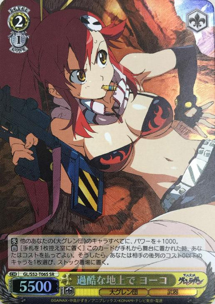 Yoko, On the Cruel Surface GL/S52-T06S SR