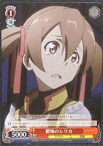 Silica in A Dilemma SAO/S20-066 C