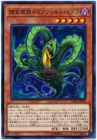 Predaplant Drosophyllum Hydra DP22-JP050 Common