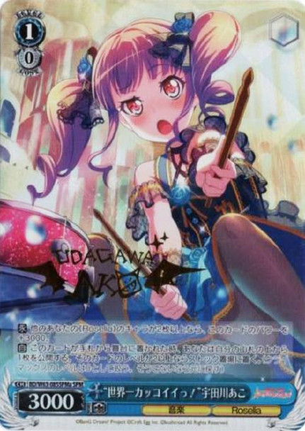 Coolest in the World! Ako Udagawa BD/W63-085SPMa SPM