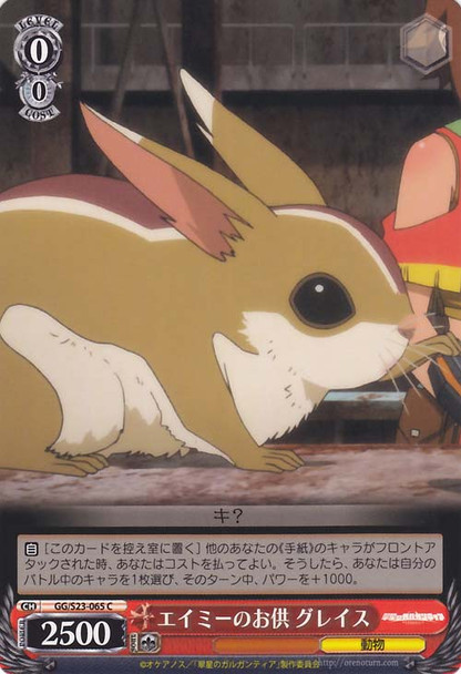 Grace, Following Amy GG/S23-065 C