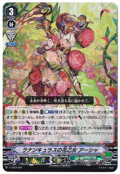 Ranunculus Flower Maiden, Ahsha V-TD12/001 RRR