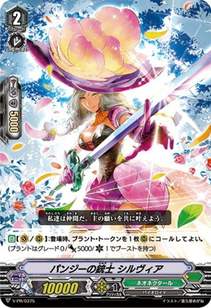 Pansy Musketeer, Sylvia V-PR/0375 PR