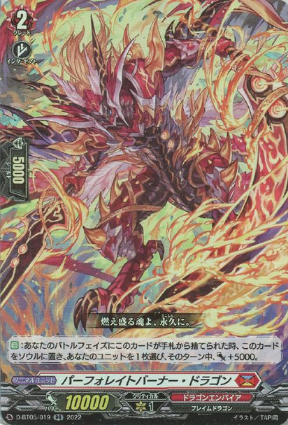 Perforate Burner Dragon D-BT05/019 RR