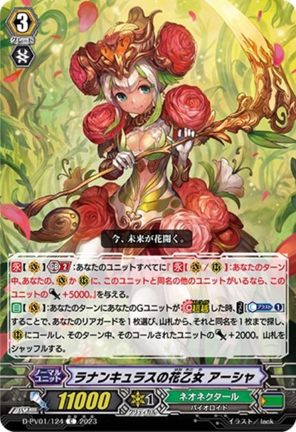 Ranunculus Flower Maiden, Ahsha D-PV01/124 C