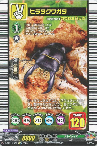 Giant Stag Beetle D-BT11/EX08 EX