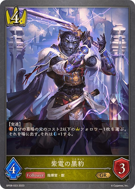 Swordflash Panther BP08-023 GR