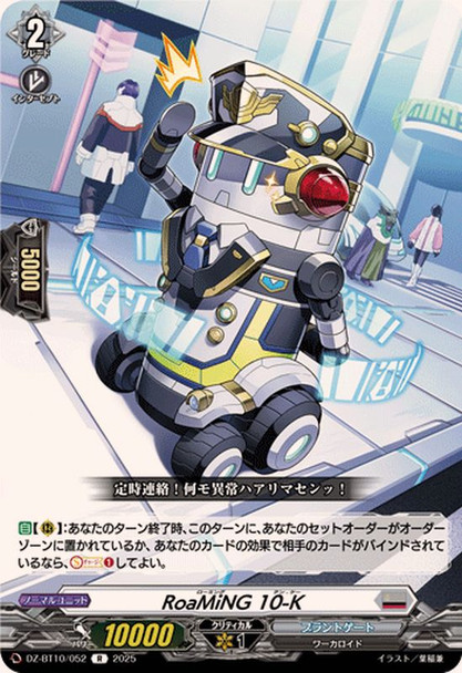 RoaMiNG 10-K DZ-BT10/052 R