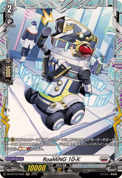 RoaMiNG 10-K DZ-BT10/FR22 FR