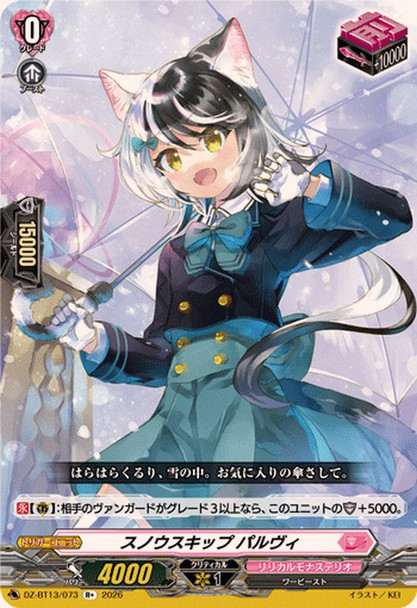 Snowskip, Palvi DZ-BT13/073 R