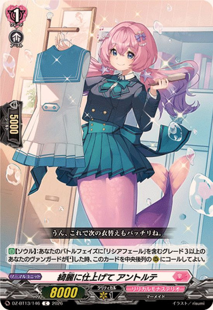 Beautiful Finish, Entrete DZ-BT13/146 C