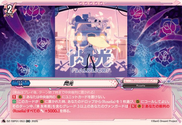 FLASHLIGHT DZ-TBP01/053 RR