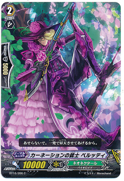 Carnation Musketeer, Berutti C BT16/096