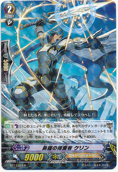 High Spirit Seeker, Celyn R BT17/021