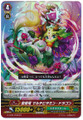 Divine Tree Dragon, Multivitamin Dragon RR G-FC01/048