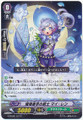 Baby-blue-eyes Musketeer, May Len G-CHB01/071 C