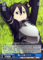 Kirito, After the Battle SAO/S47-113 R