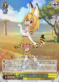 Serval, Loves Play Hunting KMN/W51-T09S SR