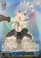 Rem, Happy Gestures RZ/S55-057S SR