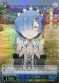 Rem, Straight Smile RZ/S55-063S SR