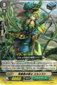 Blue Rose Musketeer, Ernest C BT14/102