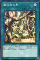 Secret Village of the Spellcasters DBIC-JP043 Common