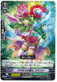 Anemone Musketeer, Susanna C BT16/100